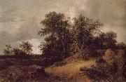 Dune Landfscape, Jacob van Ruisdael